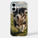 Search for colly iphone cases Herding