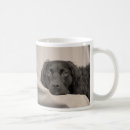 Search for tired animals mugs Sleepy