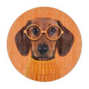 Search for dachshund cookware Cute