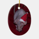 Search for pet oval christmas tree decorations Rats