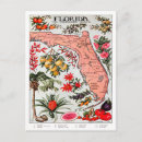 Search for everglade state postcards Map
