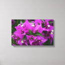 Search for cayman art Tropical