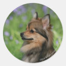 Search for watch dog stickers Bob and pam langrish