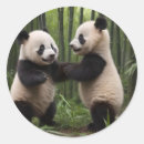 Search for bamboo stickers Forest