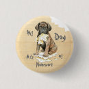 Search for cane badges Corso