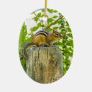 Search for fuzzy christmas tree decorations Nature