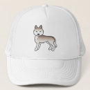 Search for siberian husky hats Cute