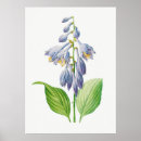 Search for lilly flower art Vintage
