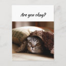 Search for thinking of you postcards Animal