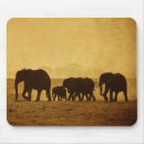 Search for big five electronics Elephants