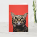 Search for looking up cards Animal