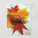 Search for feels postcards Thanksgiving