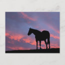Search for silhouetted postcards Sunrise
