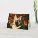 Search for deutscher cards Dog