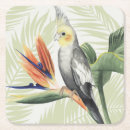 Search for palm leaf coasters Palms