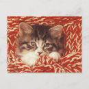 Search for wrapped postcards Sitting