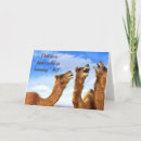 Search for funny camel birthday cards Adult