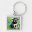 Search for german shepherd key rings Animal
