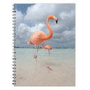 Search for bird business stationery Tropical
