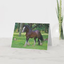 Search for clydesdale horse Ranch