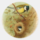 Search for bird art stickers Illustration