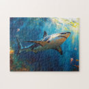 Search for shark puzzles Colourful