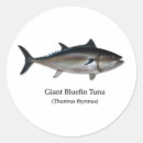 Search for tuna stickers Bluefin