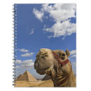 Search for egypt notebooks Pyramid