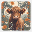 Search for cattle stickers For her