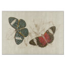 Search for orange chopping boards Blue