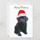 Search for labrador christmas cards Unique
