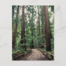 Search for inger postcards Green