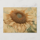 Search for decoupage postcards Floral