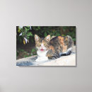 Search for outdoor canvas prints Cute