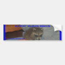 Search for raccoon bumper stickers Animal