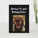 Search for big sister dog Birthday