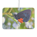 Search for blue butterfly car air fresheners Green