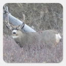 Search for mule stickers Deer