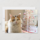 Search for lying cards Domestic animals
