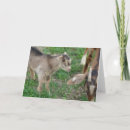 Search for tasteful cards Photography