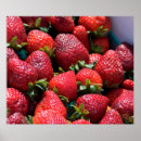 Search for ripe art Red