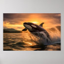 Search for orca posters Splash
