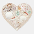 Search for beachside Seashells