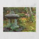Search for rob postcards Garden