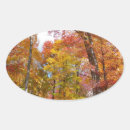 Search for orange tree stickers Nature