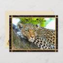 Search for brown leopard postcards Gold