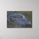 Search for wildlife canvas prints Nature photography