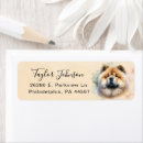 Search for chow return address labels Dog