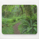 Search for olympic mousepads Landscape