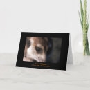 Search for manor cards Meerkat